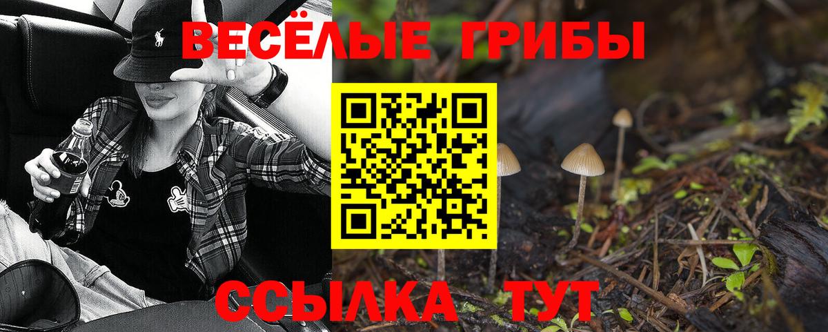 Галлюциногенные грибы мухоморы Советский
