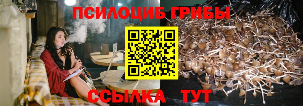 Советский  Галлюциногенные грибы мухоморы  Вход с VPN 